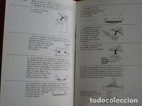 Libros: BONSAI. DE INTERIOR. PAUL LESNIEWICZ. TDK69 - - Foto 3