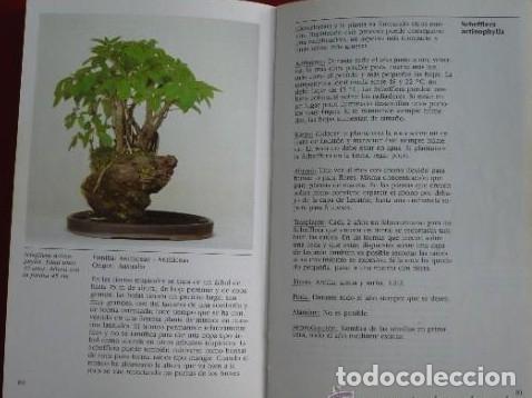 Libros: BONSAI. DE INTERIOR. PAUL LESNIEWICZ. TDK69 - - Foto 4