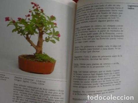 Libros: BONSAI. DE INTERIOR. PAUL LESNIEWICZ. TDK69 - - Foto 5