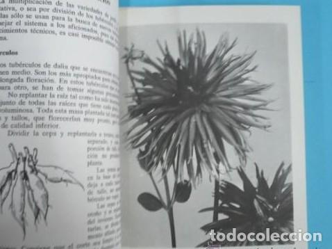 Libros: MIS DALIAS. MIS AMIGAS LAS FLORES. TDKP10 - - Foto 2