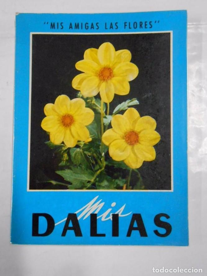 Libros: MIS DALIAS. MIS AMIGAS LAS FLORES. TDKP10 - - Foto 1