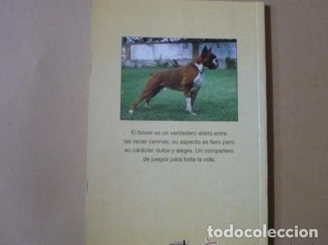 Libros: LIBROS PRACTICOS DE LAS RAZAS CANINAS EDUARDO DE BENITO RUIZ EL BOXER TDK120 - - Foto 2