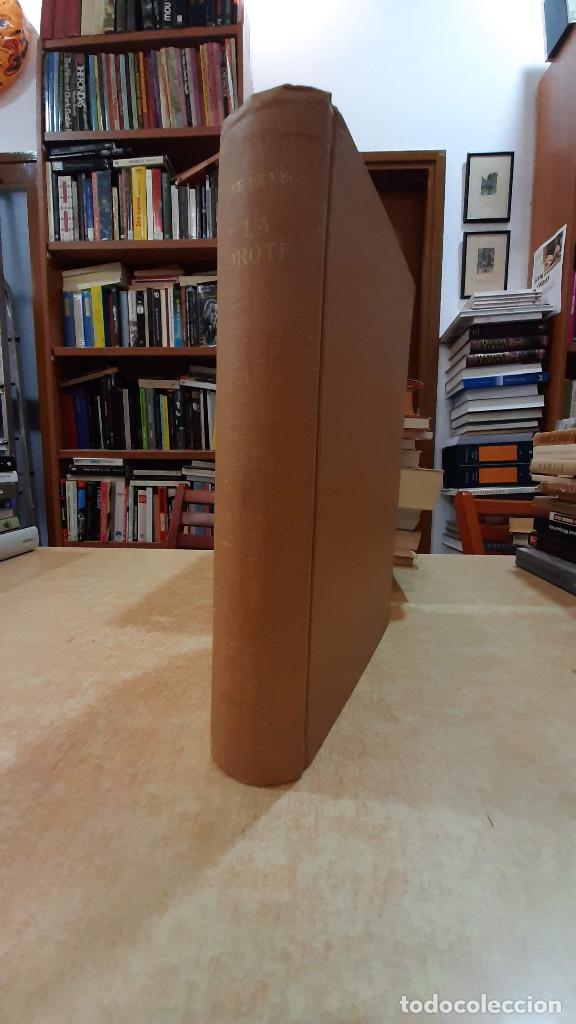 Libros: LA DOROTEA. Edici&oacute;n de EDWIN S. MORBY. - LOPE DE VEGA. - Foto 1