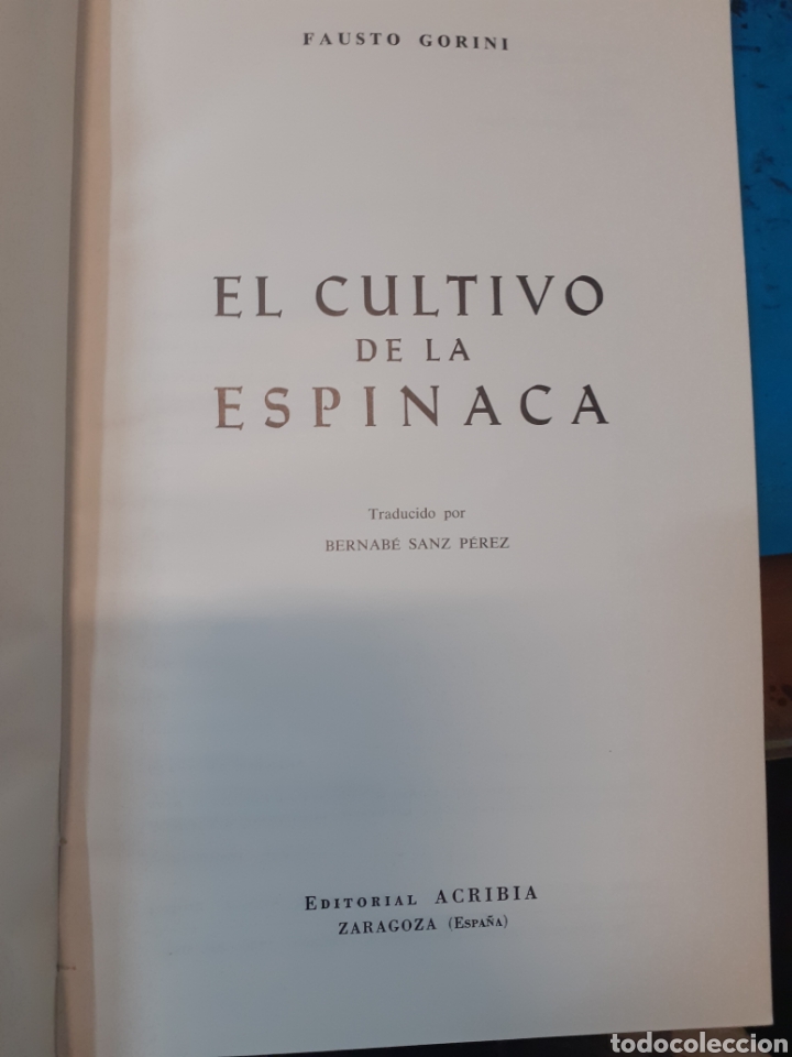 Libros: EL CULTIVO DE LA ESPINACA - GORINI,Fausto - Foto 3