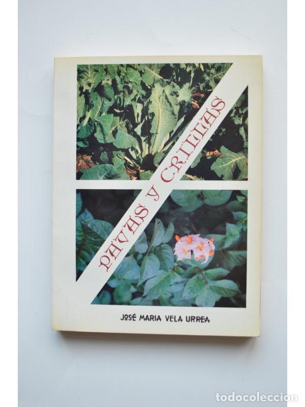 Libros: Pavas y crillas - VELA URREA, Jos&eacute; Mar&iacute;a - Foto 1