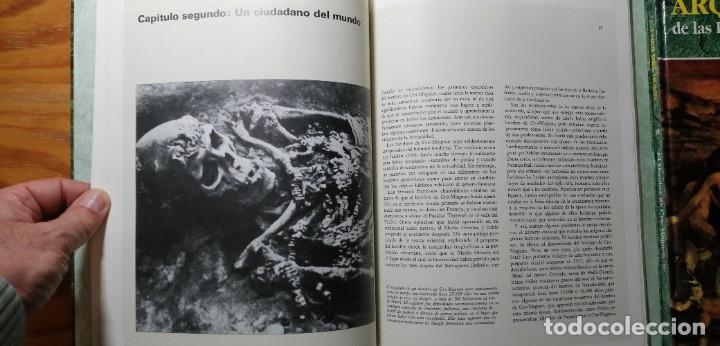 Libros: EL HOMBRE DE CRO-MAGNON (2 TOMOS) - Foto 3