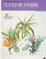 Libros: El gran libro de las Plantas de Interior - Jir&iacute; Haager - Foto 1