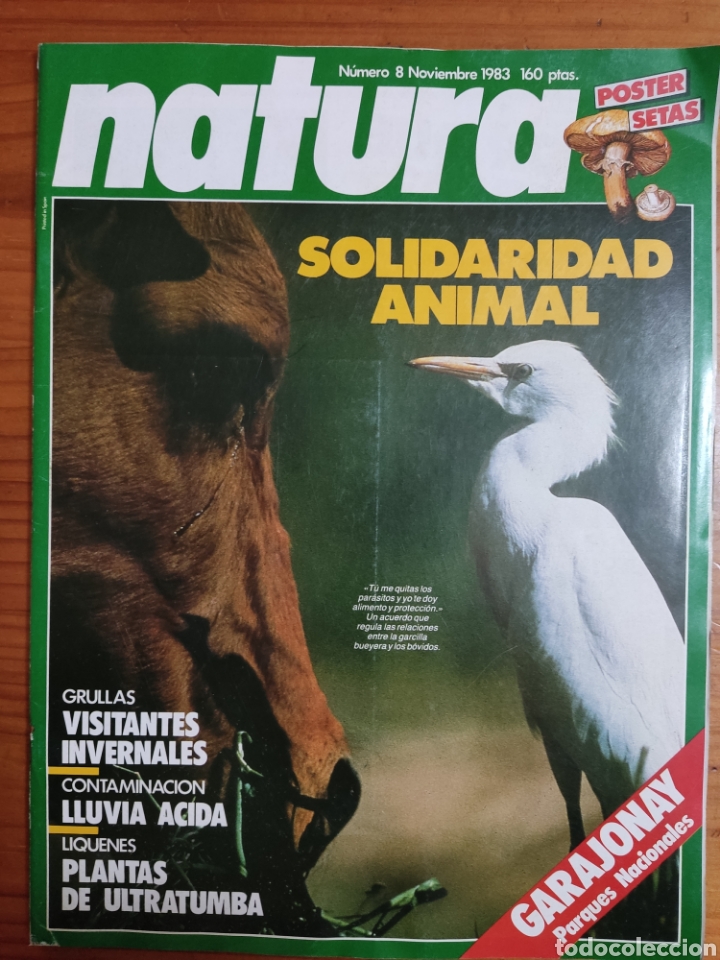 Libros: Revista Natura n&uacute;m 8 a&ntilde;o 1983 - Foto 1