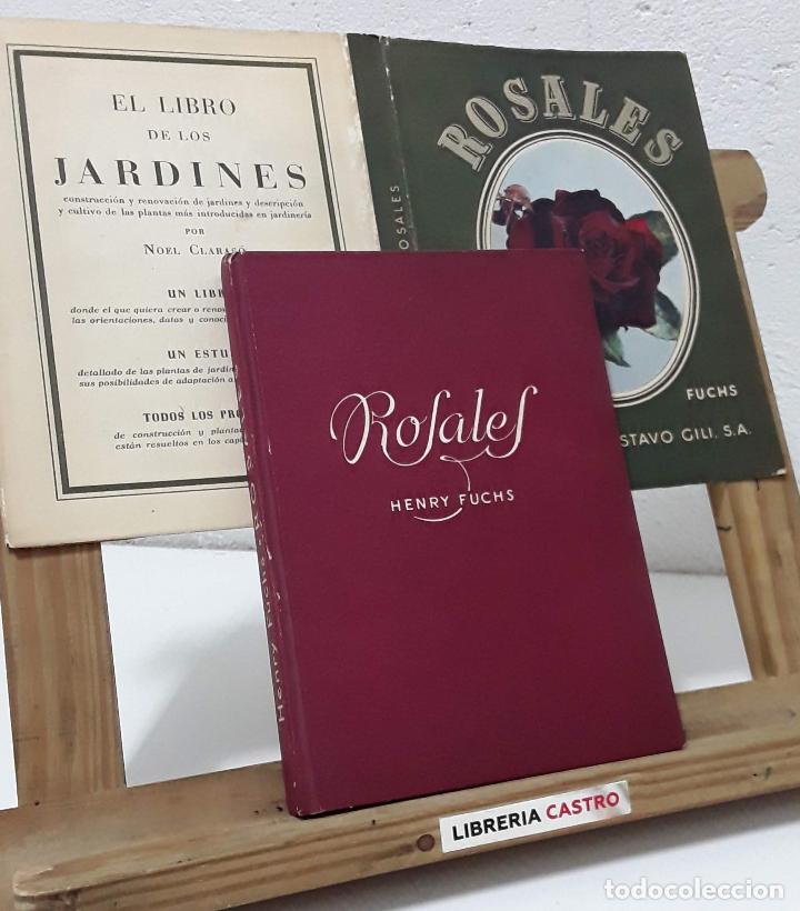 Libros: Rosales - Henry Fuchs - Foto 2