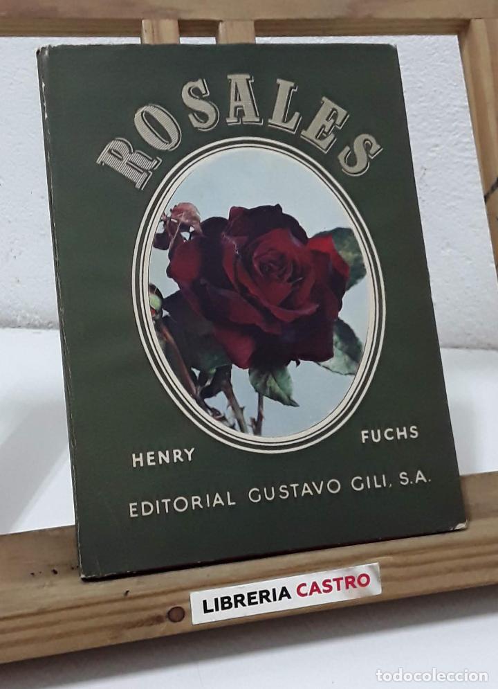 Libros: Rosales - Henry Fuchs - Foto 1