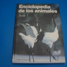 Libros: LIBRO DE AVES 1 ENCICLOPEDIA DE LOS ANIMALES AÑO 1991 DE CIRCULO DE LECTORES. Lote 311354153
