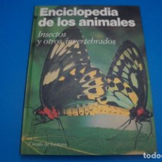 Libros: LIBRO DE ISECTOS Y OTROS INVERTEBRADOS ENCICLOPEDIA DE LOS ANIMALES AÑO 1991 DE CIRCULO DE LECTORES. Lote 311354733