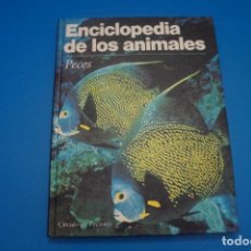Libros: LIBRO DE PECES ENCICLOPEDIA DE LOS ANIMALES AÑO 1991 DE CIRCULO DE LECTORES. Lote 311355958