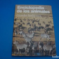 Libros: LIBRO DE GRANDES HERBIVOROS ENCICLOPEDIA DE LOS ANIMALES AÑO 1991 DE CIRCULO DE LECTORES. Lote 311357258