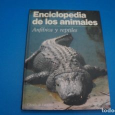 Libros: LIBRO DE ANFIBIOS Y REPTILES ENCICLOPEDIA DE LOS ANIMALES AÑO 1991 DE CIRCULO DE LECTORES. Lote 311358438