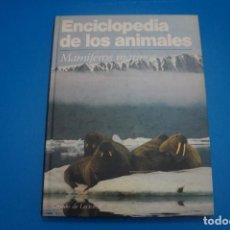 Libros: LIBRO DE MAMIFEROS MARINOS ENCICLOPEDIA DE LOS ANIMALES AÑO 1991 DE CIRCULO DE LECTORES. Lote 311359883