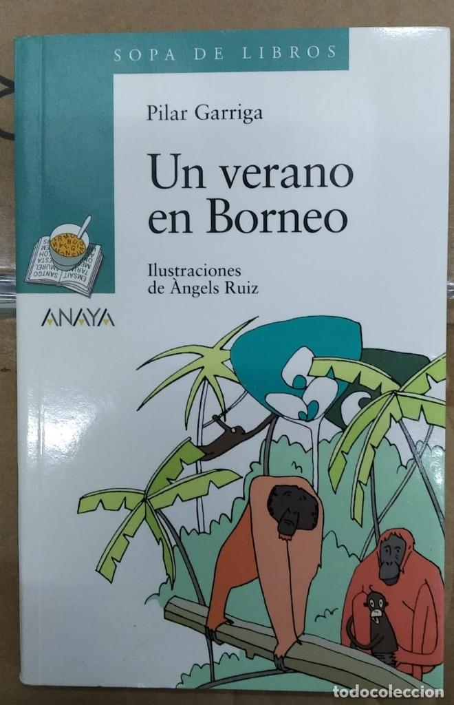 Libros: Un verano en Borneo - Pilar Garriga - Foto 1