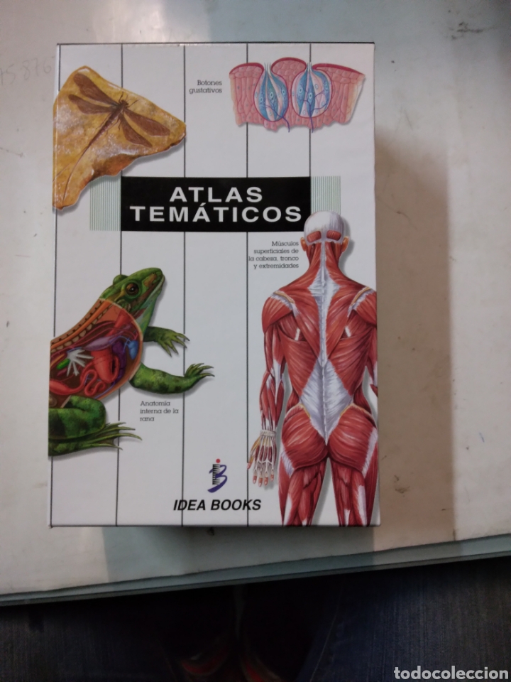 Libros: Atlas tematico, Idea Books, 5 tomos - Foto 1