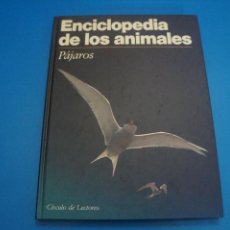 Libros: LIBRO DE PAJAROS ENCICLOPEDIA DE LOS ANIMALES AÑO 1991 DE CIRCULO DE LECTORES HAZTE CON EL. Lote 312887933
