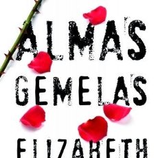 Libros: ALMAS GEMELAS - CHANDLER, ELIZABETH. Lote 313303968