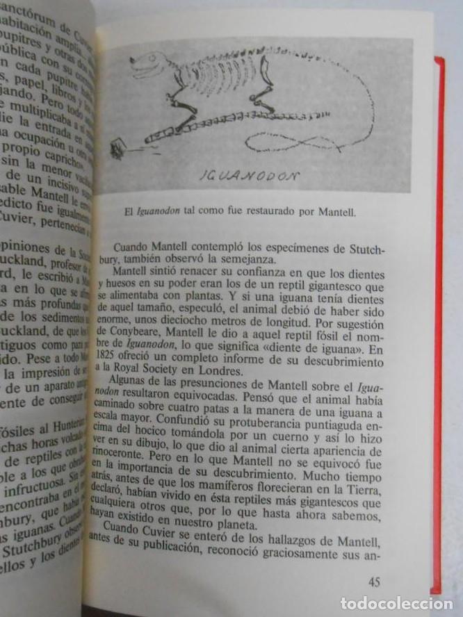 Libros: EL ENIGMA DE LOS DINOSAURIOS. - WILFORD, JOHN NOBLE. TDK669 - - Foto 2