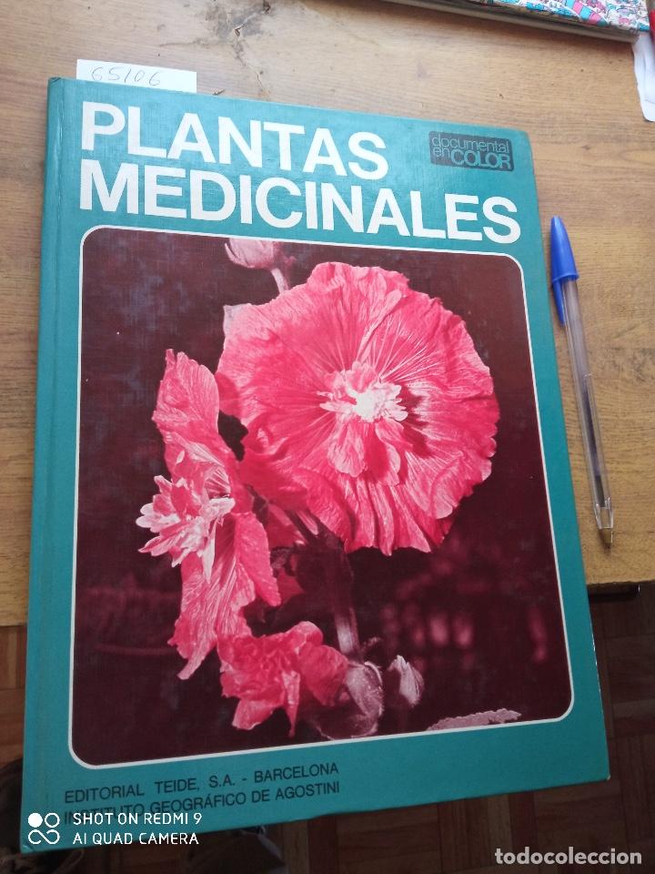 Libros: Carlo dAndreta - Plantas medicinales - Foto 1