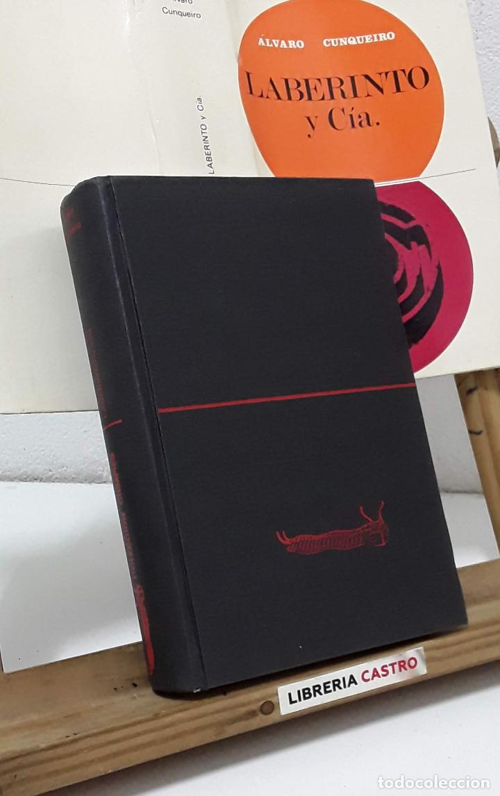 Libros: Laberinto y C&iacute;a. - &Aacute;lvaro Cunqueiro. - Foto 2