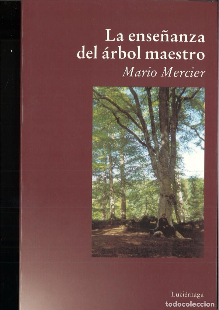 Libros: LA ENSE&Ntilde;ANZA DEL &Aacute;RBOL MAESTRO. Mario Mercier - Foto 1