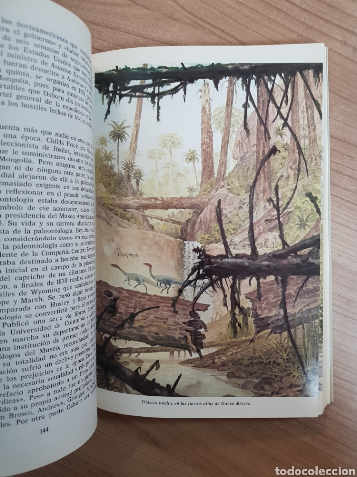 Libros: EL ENIGMA DE LOS DINOSAURIOS. JOHN NOBLE WILFORD - Foto 2