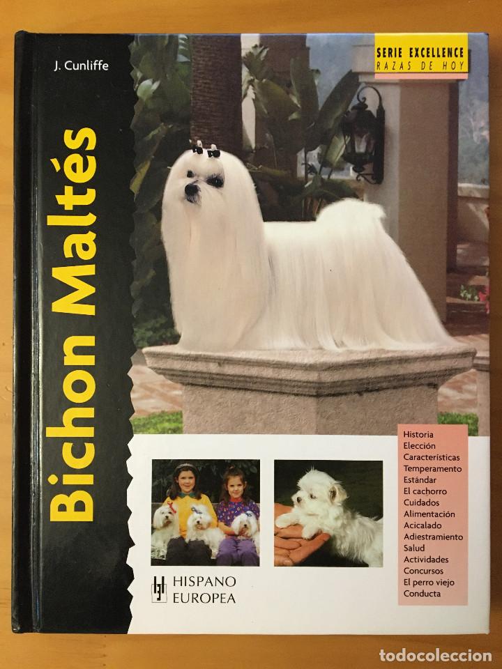 Libros: BICHON MALTES - J. CUNLIFFE - Foto 1