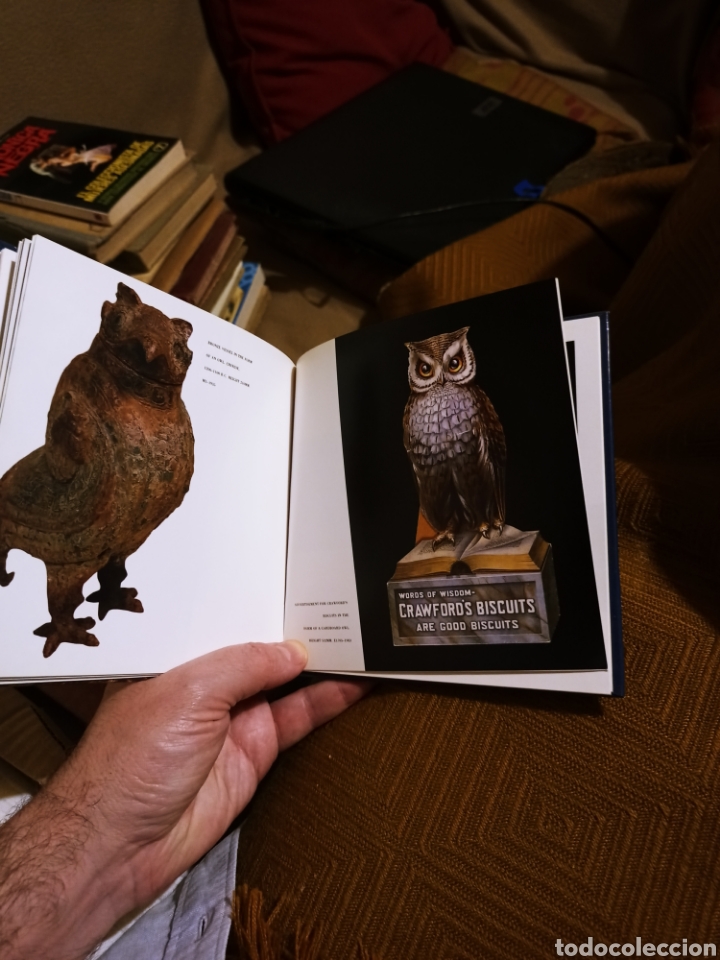 Libros: A Book of BIRDS. En ingl&eacute;s - Foto 5