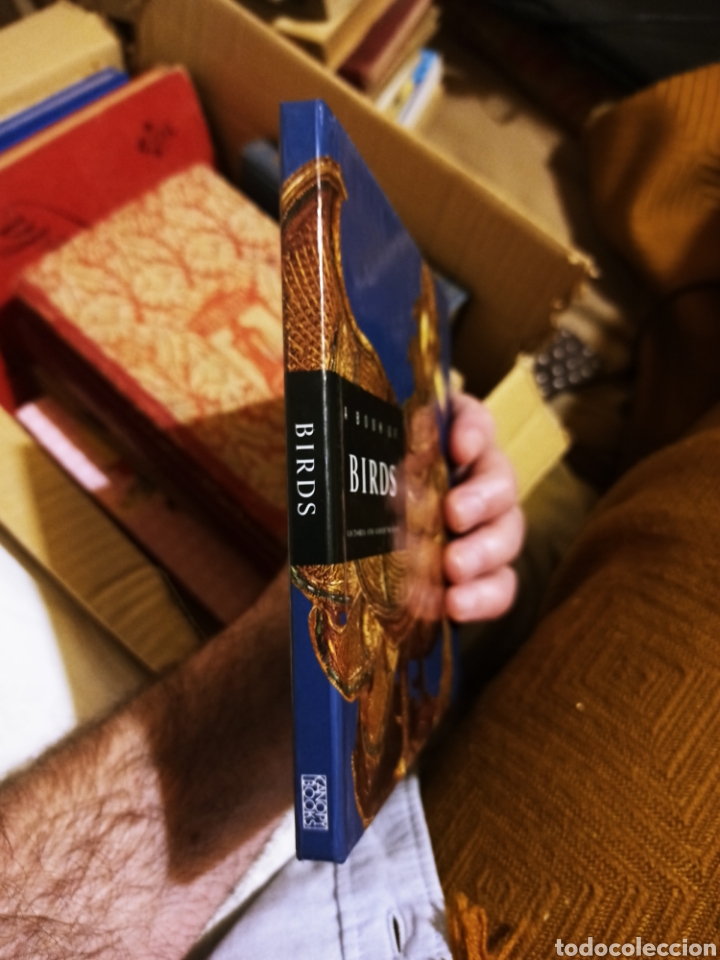 Libros: A Book of BIRDS. En ingl&eacute;s - Foto 2