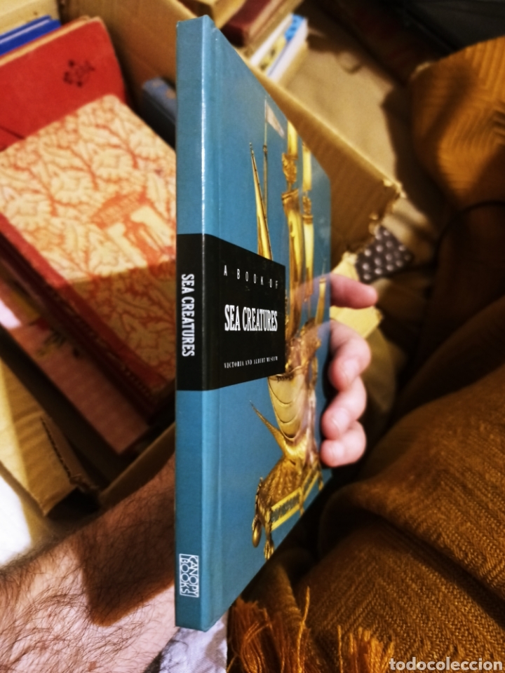 Libros: A Book of SEA CREATURES. en ingles - Foto 2