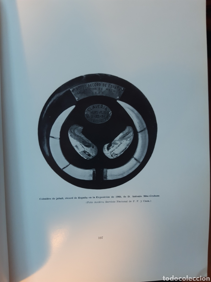 Libros: Catalogo general trofeos 1950 - Foto 3