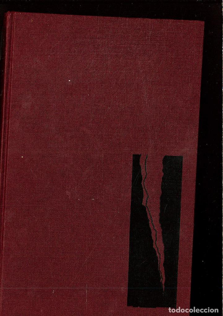 Libros: VIOLACI&Oacute;N - THEODORE PRAT - Foto 1