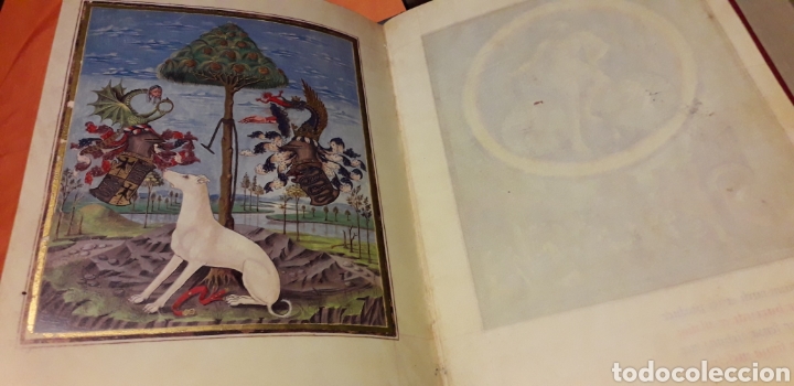 Libros: DE SPHAERA, (CODICE) POR ESNESTO MILANO, - Foto 8