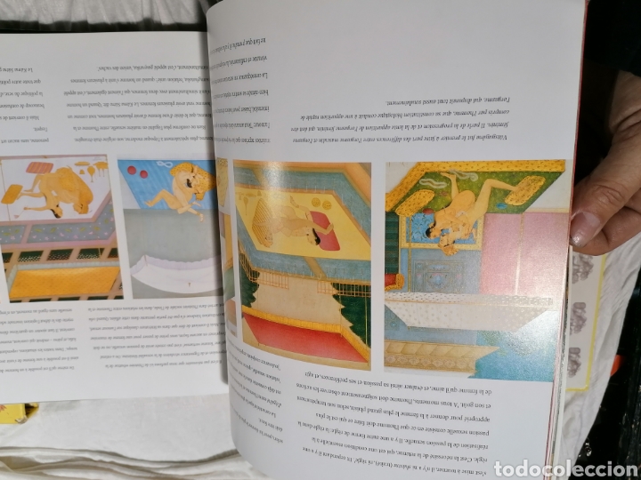 Libros: Kamasutra ilustrado a Color edici&oacute;n Francia - Foto 3
