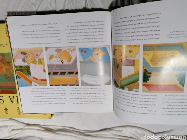 Libros: Kamasutra ilustrado a Color edici&oacute;n Francia - Foto 10