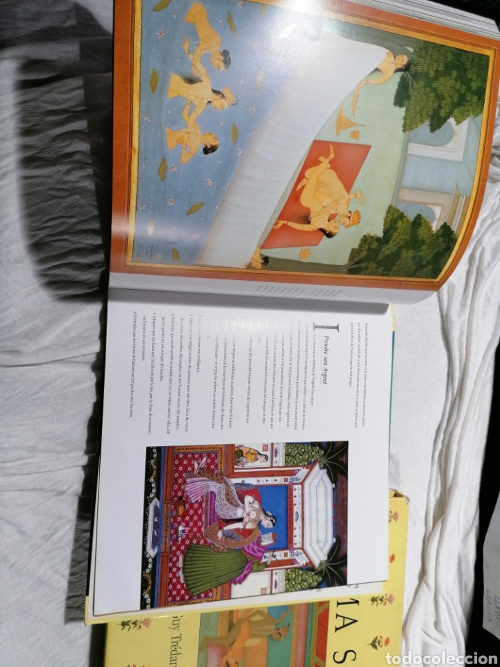 Libros: Kamasutra ilustrado a Color edici&oacute;n Francia - Foto 12