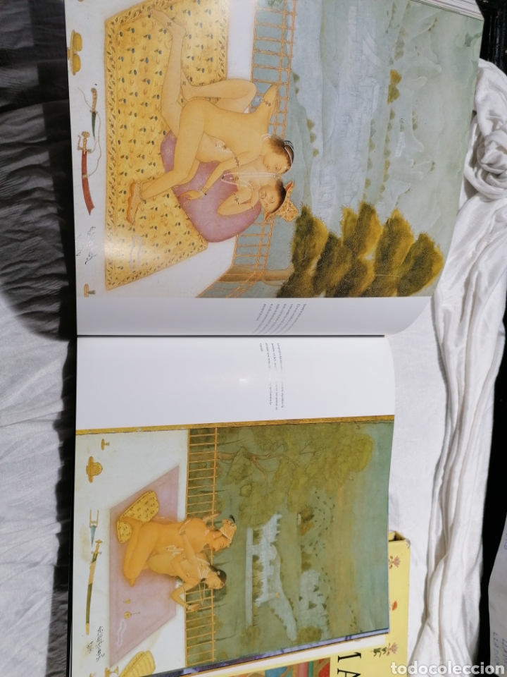 Libros: Kamasutra ilustrado a Color edici&oacute;n Francia - Foto 13