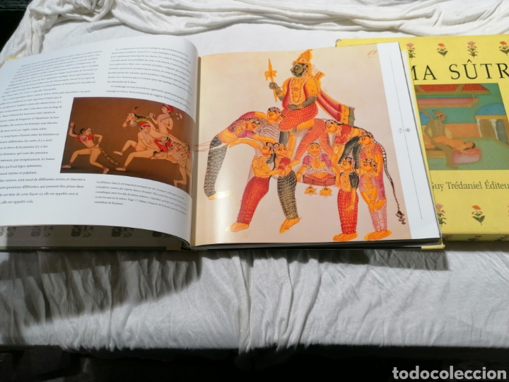 Libros: Kamasutra ilustrado a Color edici&oacute;n Francia - Foto 16