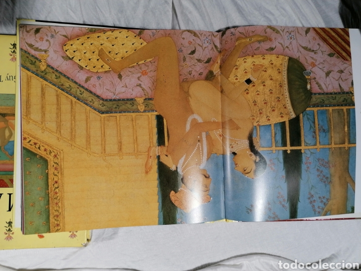 Libros: Kamasutra ilustrado a Color edici&oacute;n Francia - Foto 21