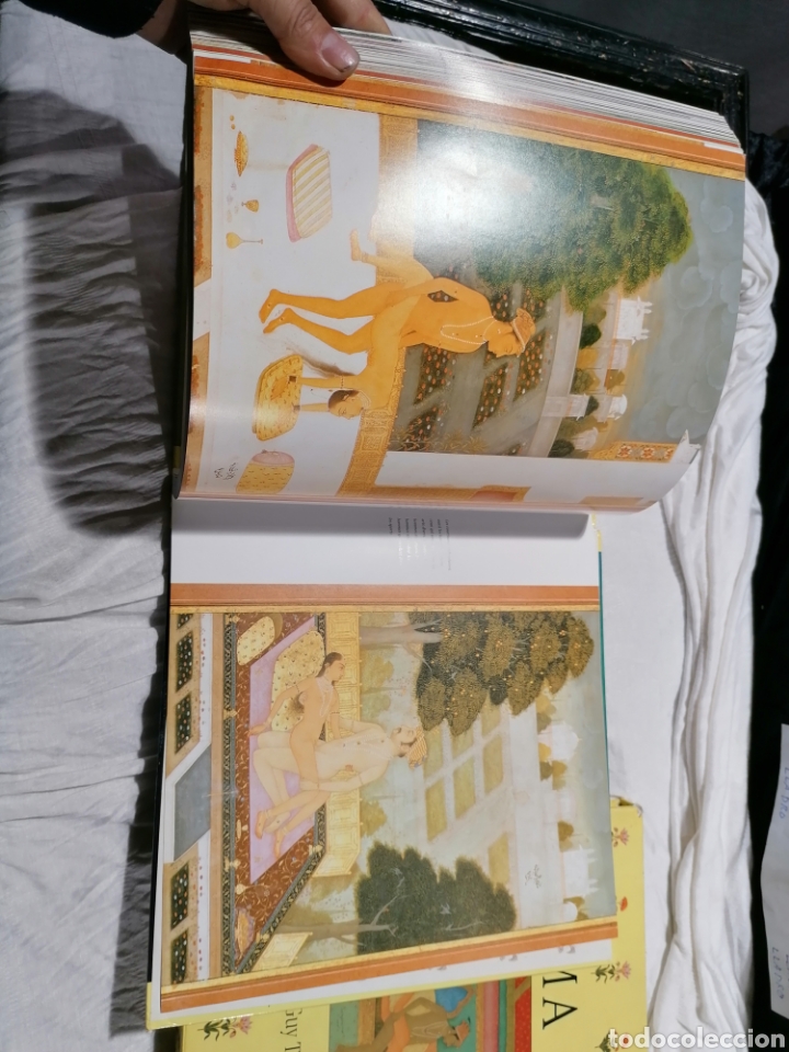 Libros: Kamasutra ilustrado a Color edici&oacute;n Francia - Foto 25