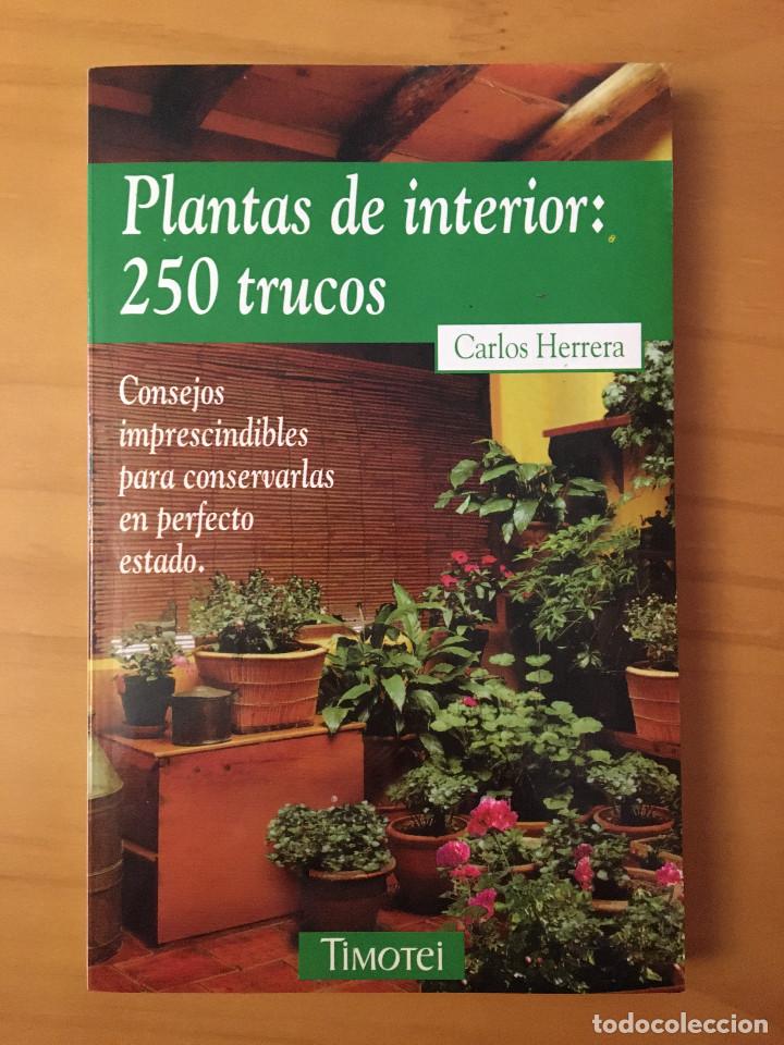 Libros: PLANTAS DE INTERIOR: 250 TRUCOS - Foto 1
