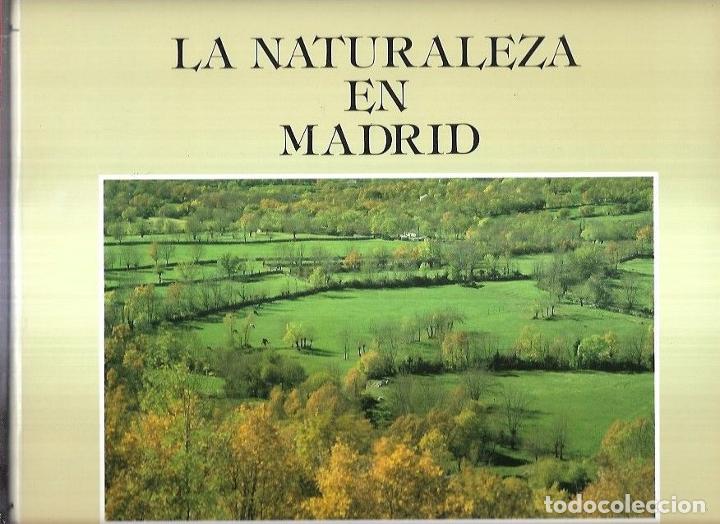 Libros: NATURALEZA EN MADRID - LA - LOPEZ LILLO, ANTONIO - Foto 2