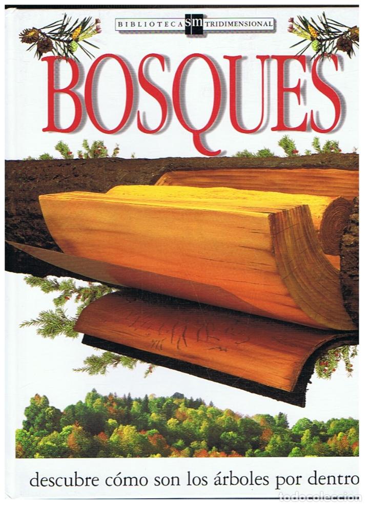 Libros: BOSQUES. - Burnie. David, - Foto 1