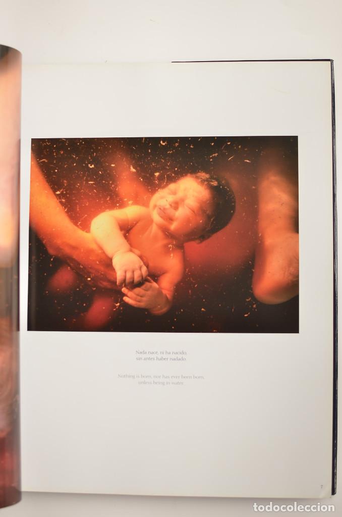 Libros: Agua - ARAUJO, Joaqu&iacute;n - Foto 4
