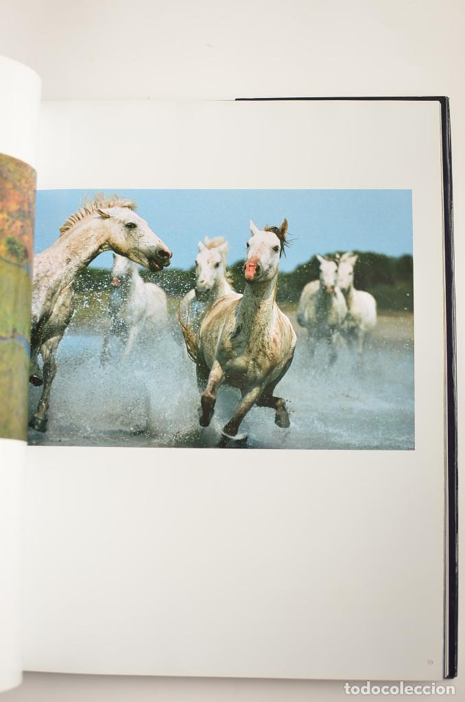 Libros: Agua - ARAUJO, Joaqu&iacute;n - Foto 7