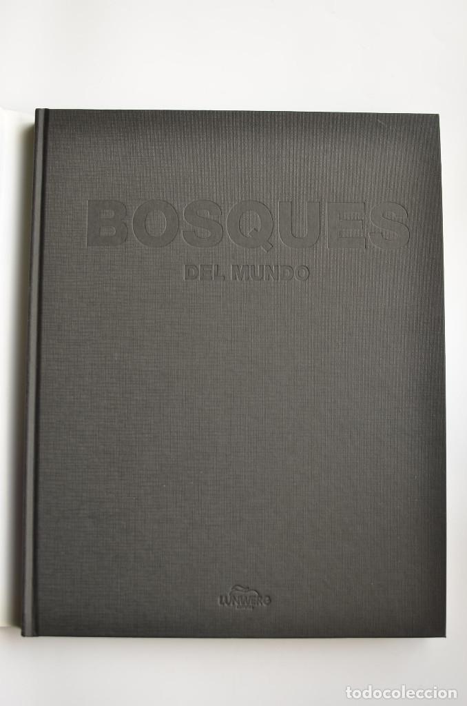 Libros: Bosques - ARAUJO, Joaqu&iacute;n - Dedicatoria aut&oacute;grafa del autor - Foto 2