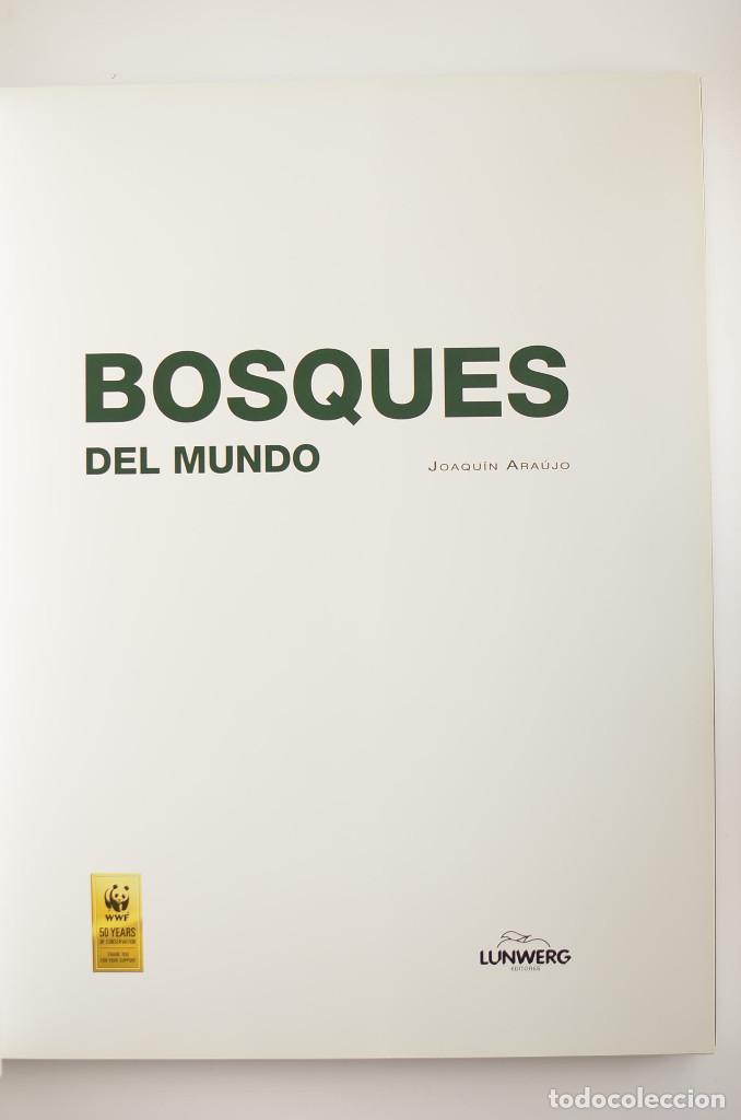 Libros: Bosques - ARAUJO, Joaqu&iacute;n - Dedicatoria aut&oacute;grafa del autor - Foto 4